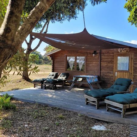 Chalet Climatise Santa Maria A Bonifacio Боніфачо Екстер'єр фото