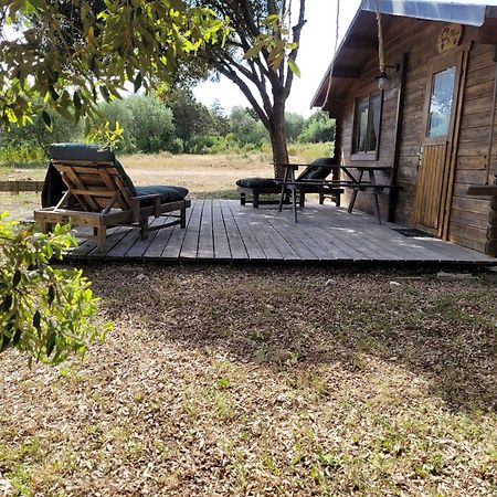 Chalet Climatise Santa Maria A Bonifacio Боніфачо Екстер'єр фото